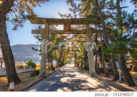 岡山県岡山市 逆光の木漏れ日と松並木が美しい吉備津神社の二の鳥居 141246027