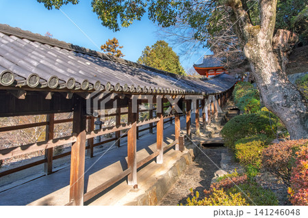 岡山県岡山市 青空と緑に囲まれた吉備津神社の美しい回廊と南随神門 141246048
