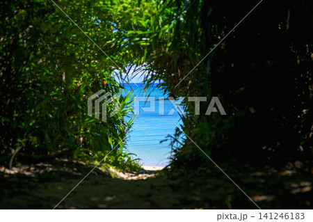 石垣島の平久保ビーチへ続く緑の小道から望む青い海の絶景 石垣島の平久保ビーチへ続く緑の小道から望む青い海の絶景 141246183