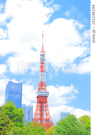 東京都港区、東京タワーと新緑の風景 141246194