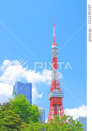 東京都港区、東京タワーと新緑の風景 東京都港区、東京タワーと新緑の風景 141246197