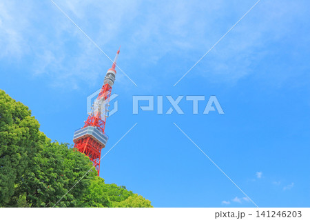 東京都港区、東京タワーと新緑の風景 141246203