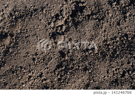 Close-Up View of Rich, Dark Soil with Textured Surface Ideal for Gardening and Agriculture Applications 141246766
