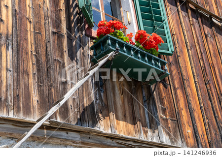 Traditional Austrian wooden house facade with close-up on cat ladder leading to window planter box with blooming red geraniums and green rustic shutters. Traditional Austrian wooden house facade with close-up on cat ladder leading to window planter box with blooming red geraniums and green rustic shutters. 141246936