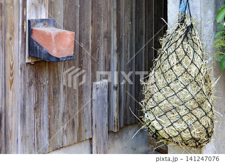 salt lick and fodder net for horses 141247076