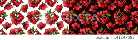 Botanical line art pattern the intricate beauty of a chaenomeles japonica branch Botanical line art pattern the intricate beauty of a chaenomeles japonica branch 141247083