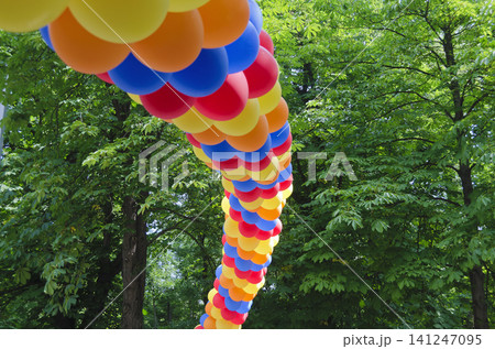Snake made from colorful balloons Snake made from colorful balloons 141247095
