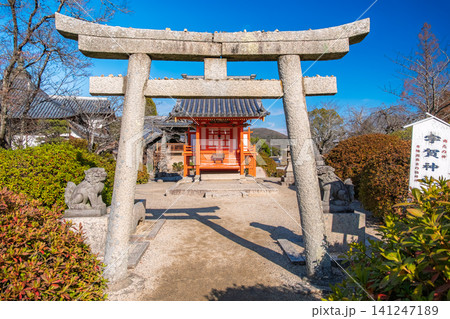 岡山県岡山市 青空に映える吉備津神社の末社・宇賀神社 141247189