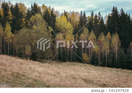 Panoramic landscape of valley in Carpathian mountains. Scenic valley landscape with autumn forest. Travel in Ukraine. Amazing falling season in Carpathian mountains. Panoramic landscape of valley in Carpathian mountains. Scenic valley landscape with autumn forest. Travel in Ukraine. Amazing falling season in Carpathian mountains. 141247420
