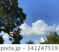 森から見た青空 141247519