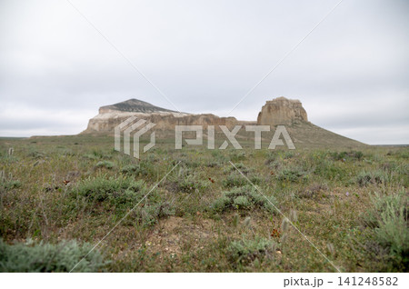 Rocky outcrop with grassy plains under overcast sky in remote landscape 141248582