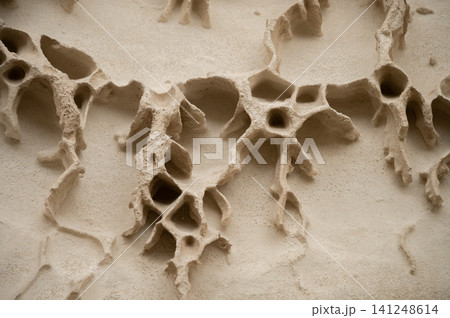 Textured wall surface with natural erosion patterns and cavities 141248614