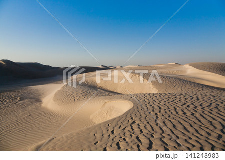 White dunes near Al Khaluf, Oman desert 141248983