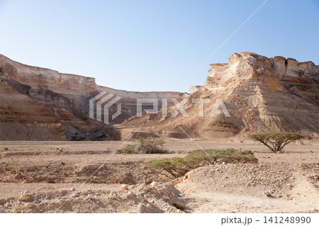 Canyon in Wadi Ash Shuwaymiyyah area, Oman landscape Canyon in Wadi Ash Shuwaymiyyah area, Oman landscape 141248990