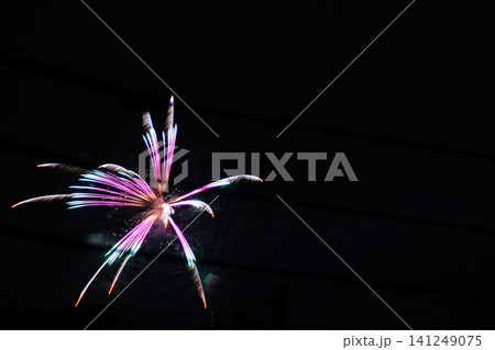 花火の花 花火の花 141249075