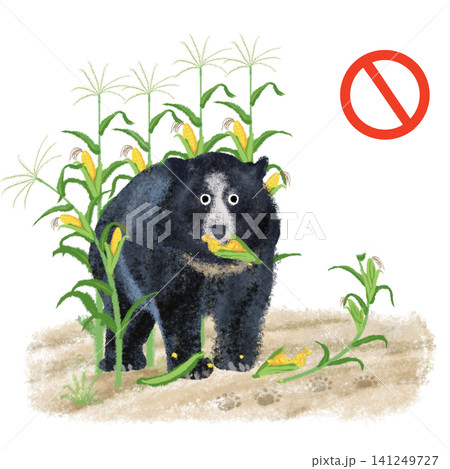 クマ出没・立入注意 赤丸マーク付き とうもろこし畑のツキノワグマイラスト クマ出没・立入注意 赤丸マーク付き とうもろこし畑のツキノワグマイラスト 141249727
