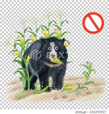 クマ出没・立入注意 赤丸マーク付き とうもろこし畑のツキノワグマイラスト クマ出没・立入注意 赤丸マーク付き とうもろこし畑のツキノワグマイラスト 141249727