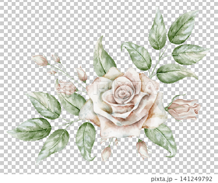Rose watercolor illustration. Floral art with pale pink Flower, buds and leaves on isolated background for wedding invitations or greeting cards. Botanical vintage drawing for nostalgic design. Rose watercolor illustration. Floral art with pale pink Flower, buds and leaves on isolated background for wedding invitations or greeting cards. Botanical vintage drawing for nostalgic design. 141249792