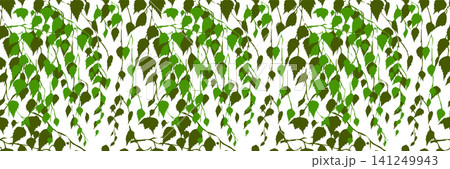 Birch seamless pattern. Hand drawn. Not AI, vector illustration. 141249943
