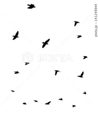 Flying birds silhouette flock. hand drawing. Not AI. Vector illustration Flying birds silhouette flock. hand drawing. Not AI. Vector illustration 141249944
