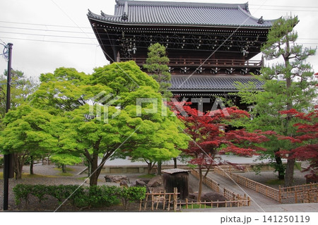 くろ谷金戒光明寺の新緑 くろ谷金戒光明寺の新緑 141250119