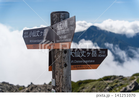 南アルプス 仙丈ヶ岳 登山道分岐 南アルプス 仙丈ヶ岳 登山道分岐 141251070