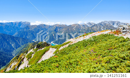 秋の針ノ木岳・蓮華岳登山(針ノ木岳山頂から鳶山・鷲岳・獅子岳方面の眺め) 秋の針ノ木岳・蓮華岳登山(針ノ木岳山頂から鳶山・鷲岳・獅子岳方面の眺め) 141251161