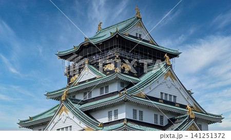 大阪城公園からの大阪城 大阪城公園からの大阪城 141251372