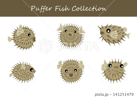 puffer fish collection. puffer fish in different poses 141251479