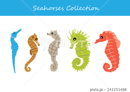 seahorse collection. seahorse in different poses 141251486
