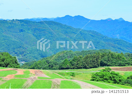 秩父高原牧場 ポピー畑から山並の眺め 秩父高原牧場 ポピー畑から山並の眺め 141251513