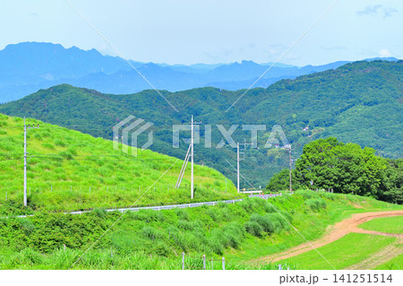 秩父高原牧場 ポピー畑から山並の眺め 秩父高原牧場 ポピー畑から山並の眺め 141251514