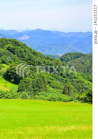 秩父高原牧場 ポピー畑から山並の眺め 秩父高原牧場 ポピー畑から山並の眺め 141251517