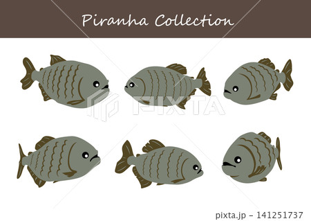 piranha collection. piranha in different poses 141251737