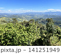青空の下に広がるブラジルの緑豊かな山並み 141251949