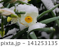 雪景色 141253135