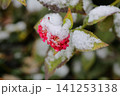 雪景色 141253138
