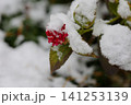 雪景色 141253139