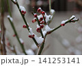 雪景色 141253141