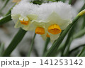 雪景色 141253142