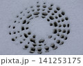 雪模様 141253175