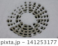 雪模様 141253177