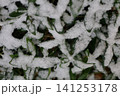 雪模様 141253178