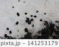雪模様 141253179