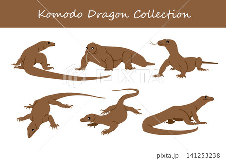 komodo dragon collection. komodo dragon in different poses 141253238