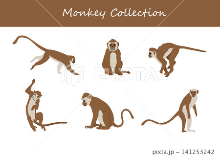 monkey collection. monkey in different poses monkey collection. monkey in different poses 141253242