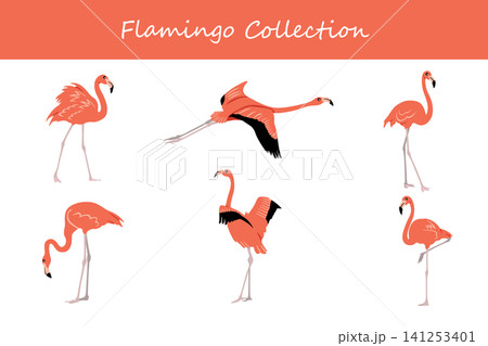 flamingo collection. flamingo in different poses 141253401