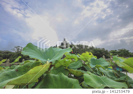 Hong Kong June 27 2026 Ngong Ping Buddha behind lotus leaves Hong Kong June 27 2026 Ngong Ping Buddha behind lotus leaves 141253479
