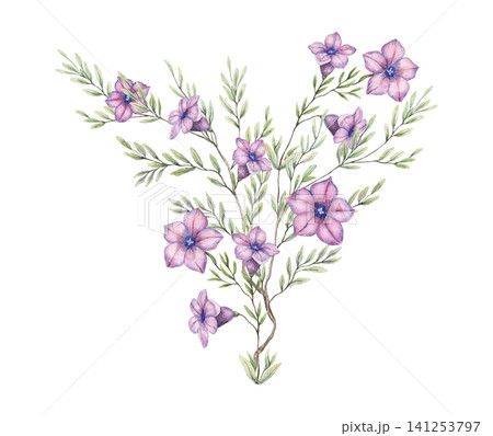 Violet flower shrub watercolor composition. Hand drawn delicate bouquet with green leaves in botanical style. Floral design for wedding invitation card. Natural blossom art for botany postcard. Violet flower shrub watercolor composition. Hand drawn delicate bouquet with green leaves in botanical style. Floral design for wedding invitation card. Natural blossom art for botany postcard. 141253797