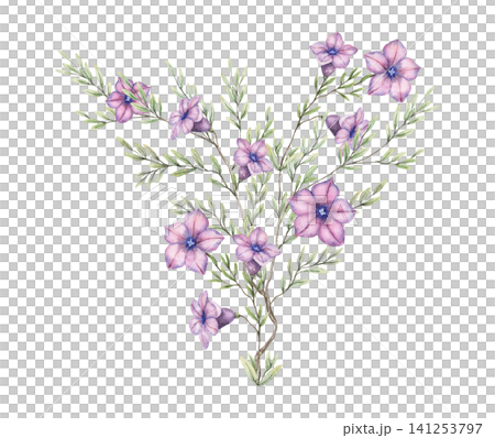 Violet flower shrub watercolor composition. Hand drawn delicate bouquet with green leaves in botanical style. Floral design for wedding invitation card. Natural blossom art for botany postcard. Violet flower shrub watercolor composition. Hand drawn delicate bouquet with green leaves in botanical style. Floral design for wedding invitation card. Natural blossom art for botany postcard. 141253797